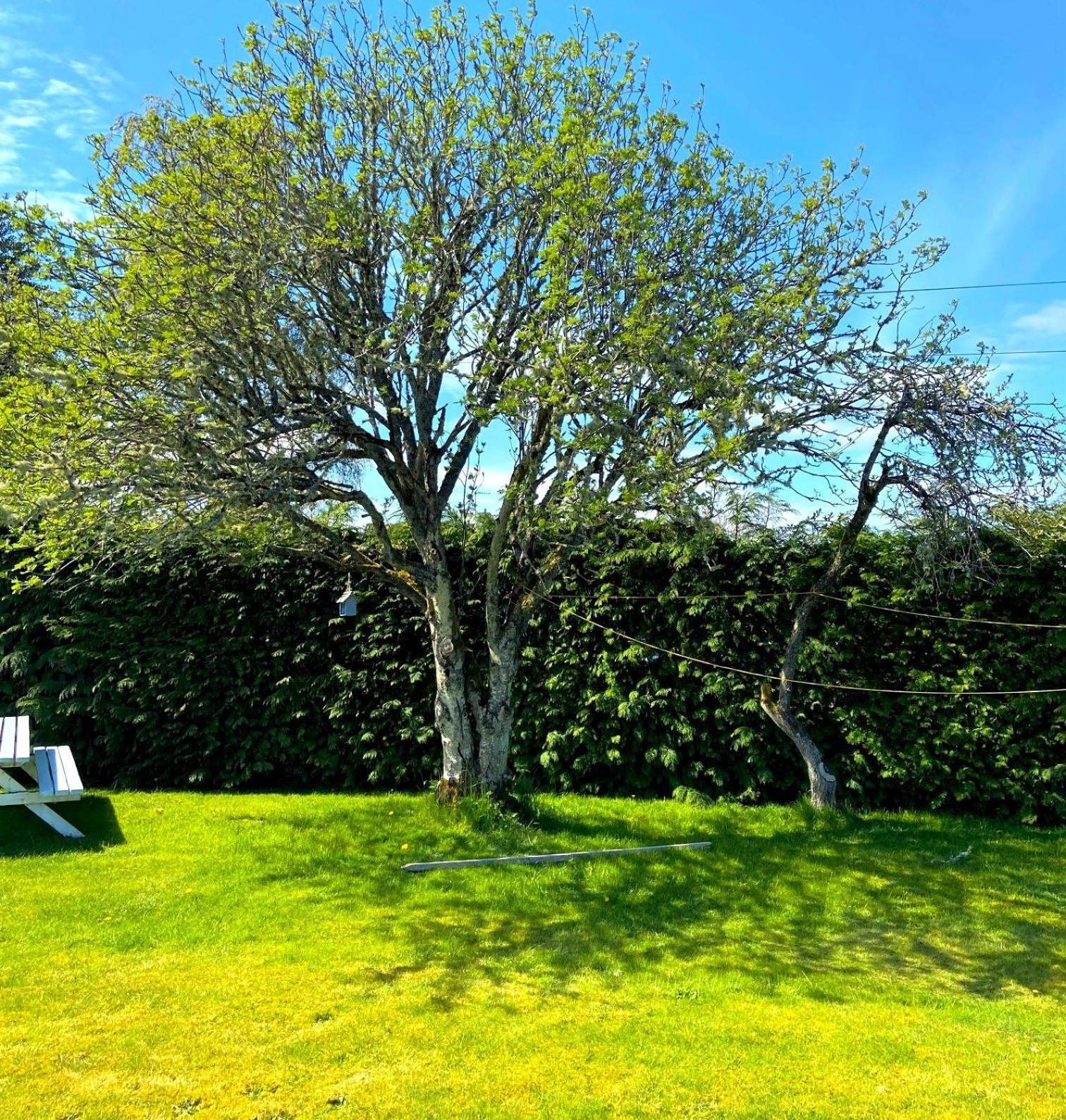 26 Green Drive Inverness Inshes المظهر الخارجي الصورة
